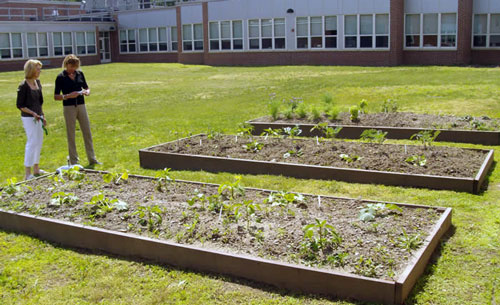 Algonquin Applied Arts and Technology teacher Susan Halpin (left) and Michelle Murphy (right) of the Murphy Sisters Foundation inspect the garden back in June