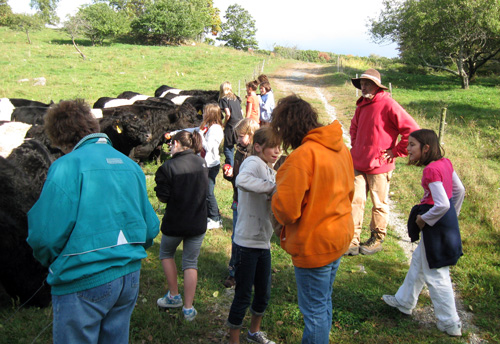 Girl Scouts from Southborough Troop 77105 on a recent visit to the belties (Photo courtesy of Theresa Brazeau)