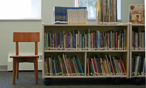 library-shelves