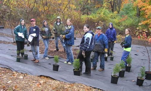 Volunteers planting native plants at the Tureene Wildlife Habitat (photo from Sudbury Valley Trustees)