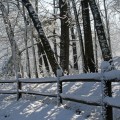 first-snow-3