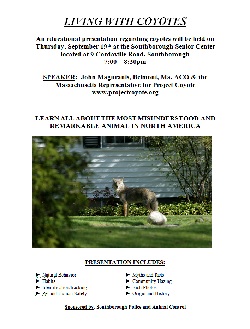 20130910-SOUTHBORO-COYOTE-flyer