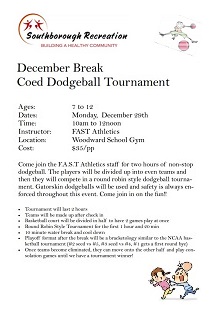 2014 winter_break_dodgeball_flyer