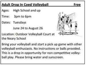 volleyball_drop-in_summer