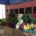 Farm stand will be open 9-12 (from Friends of Chestnut Hill Farm Facebook page)