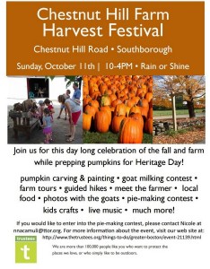 Chestnut_hill_festival flyer