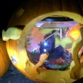 2015 pumpkin display - fish bowl (photo by Beth Melo)