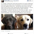 missing_labs_facebook_post