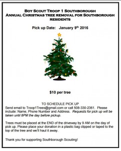 Scout tree pickup flyer