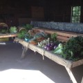 Southborough welcomed a fresh farm stand at Chestnut Hill Farm. (Contributed photo)