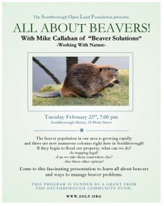 all_about_beavers_flyer