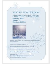 Winter Wonderland flyer