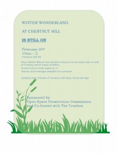 Winter_Wonderland flyer