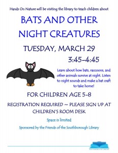 Bats and other night creature flyer