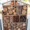 example of an Orchard Mason Bee nest