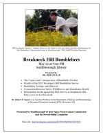 Breakneck Hill Bumblebees flyer
