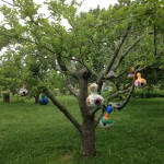 Chestnut Hill Farm will be holding another bottle gourd workshop (contributed photo from 2015)