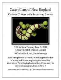 Caterpillars of New England presentation flyer