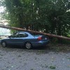 storm damage on White Bagley Road (photo by Chris Wraight)