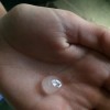 hail from last night's storm (photo by Beth Melo)