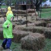 Hay Maze at the Chestnut Hill Farm Festival 2016 (photo by The Trustees of Reservations)