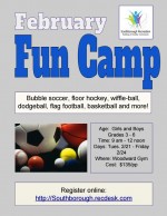 February Fun Camp flyer