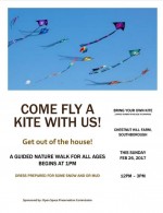 fly a kite flyer