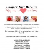 project just because flyer