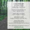 Call for Art on the Trails (cropped from Facebook)