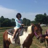 Pony rides week 7 camp (photo from Southborough Recreation Facebook page)