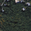 image I found using Google maps online - includes the trees and surrounding roads