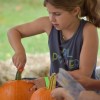 pumpkin carving