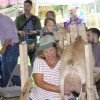 Freddie Gillespie didn't retain her goat milking champion title this year (photo by Joao Melo)