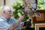 Tom Ricardi with his Birds of Prey (from Emily Williston Memorial Library)