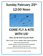 Kite flying at the golf course flyer