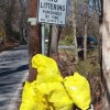 Trash collected by volunteers as part of last year's annual Town cleanup (contributed)