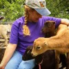 baby goats at the farm (contributed)