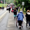 Following the Parade (by Allan Bezanson) 