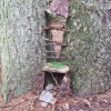 fairy house flickr by Nick Sieger