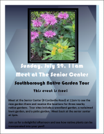 Southborough Native Garden Tour