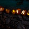 16 Pumpkin Stroll lit display by Rotary Club
