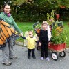 Native Plant Gardens promoting pollinators from Facebook