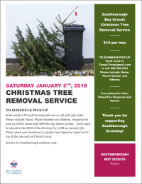 christmas tree removal flyer