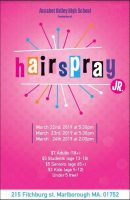 Hairspray, Jr flyer