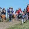 Running with the Goats (contributed)