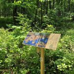 June StoryWalk at Chestnut Hill Farm