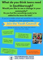 Youth Council Recruitment flyer