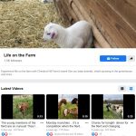 Life on the Farm videos