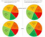 NSBORO Sobo K-8 and ARHS survey results academic and social