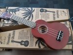 Southboough Library circulating ukuleles funded by SEF